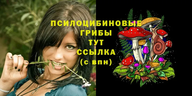 Галлюциногенные грибы MAGIC MUSHROOMS  наркота  Касимов 